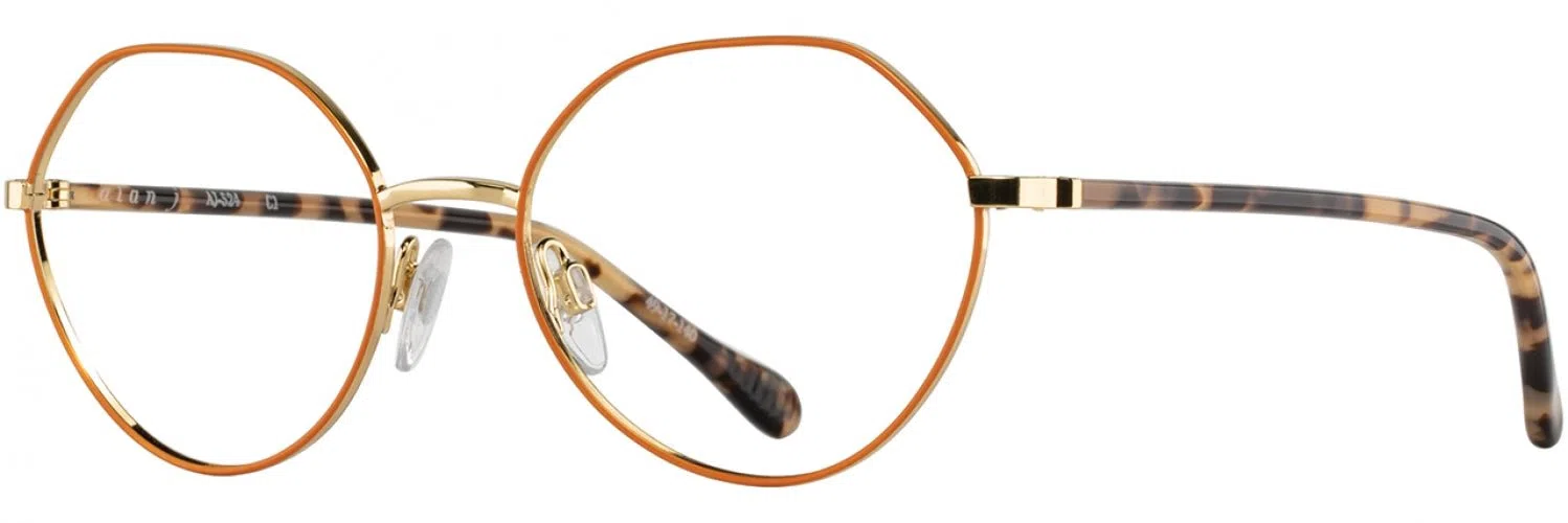 Alan J AJ524 Eyeglasses - view 6